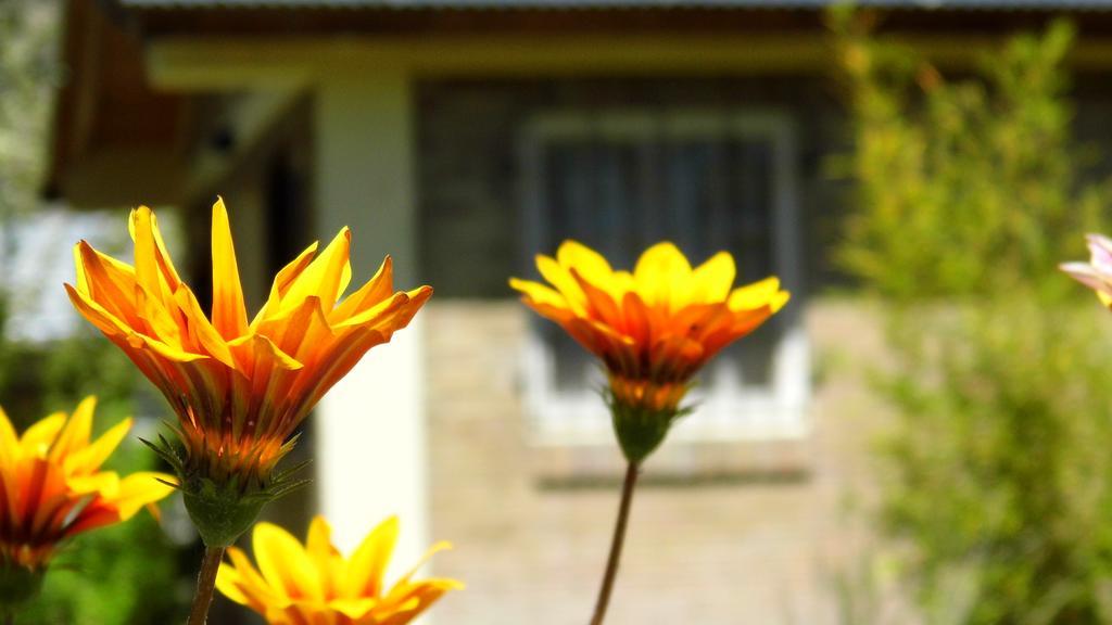 Aike Lodge San Rafael (Mendoza)