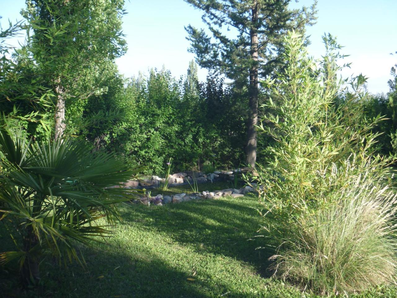 Aike * San Rafael (Mendoza)