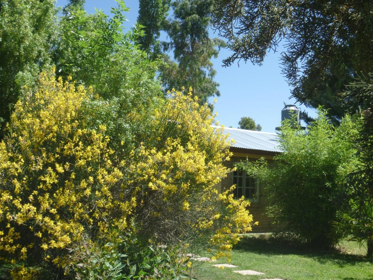 Lodge Aike San Rafael (Mendoza)
